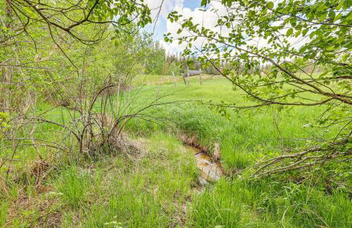 Historic McBride House in Garden Valley Mtns! - Foto 42