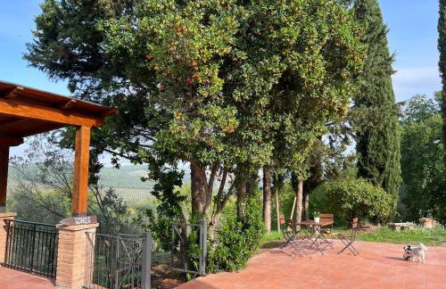 Casale Delle Querce farmhouse in Giove Umbria with pool - Foto 75