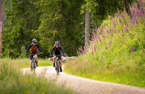 Haus Bergruh Fuchsbau - Foto 34