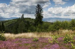 Apartamenty przy Hotelu Żywieckim - Foto 26