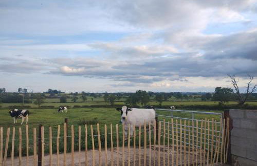 The Calf House - Foto 3