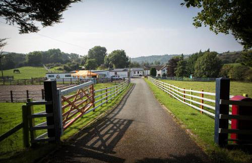 Glan Llyn Farm House - Foto 6