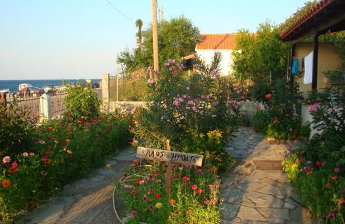 Athina Apartments - Foto 3