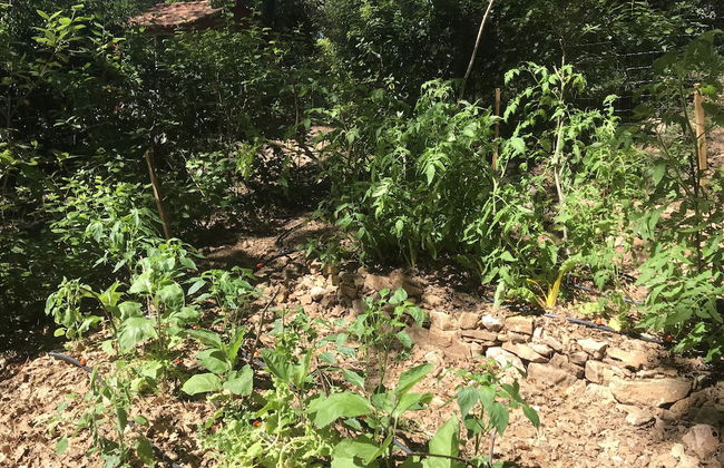 Domaine de la Tuilière - Foto 35