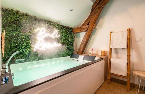BALI ROOM / Magnifique studio évasion JACCUZI - Foto 6