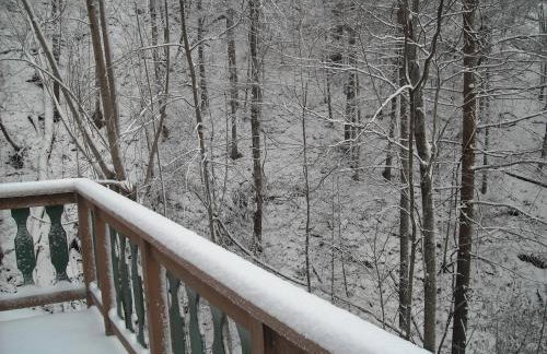 Mountain Chalet with hot tub ! - Foto 23
