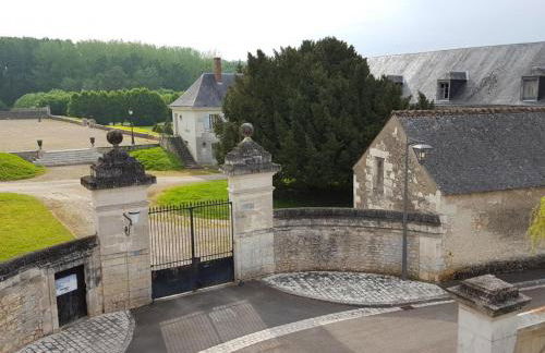 Gîte 18ème avec jardin, jeux, et ateliers cuisine près de l'Abbaye de Pontlevoy. - FR-1-491-349 - Photo 1