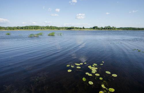 Agroturystyka Golubie - Foto 57