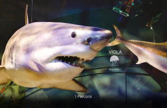 Residence Domus - Foto 47