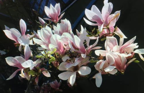 AMISTA' Porto Frailis Arbatax - Foto 21