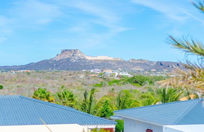 Palm Crest - Foto 31