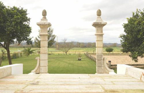 Pátio das Ribeiras - Foto 4