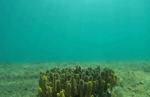 Villa Liana - Photo 43