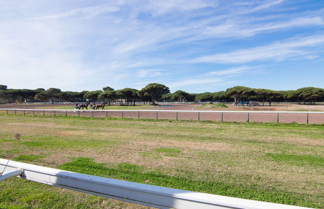 Les Pesquiers - Foto 5