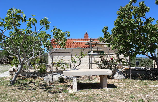 Robinson House Dubrova - Foto 44