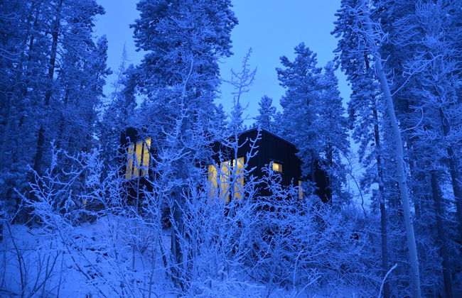 Yukon Black Spruce - Foto 9