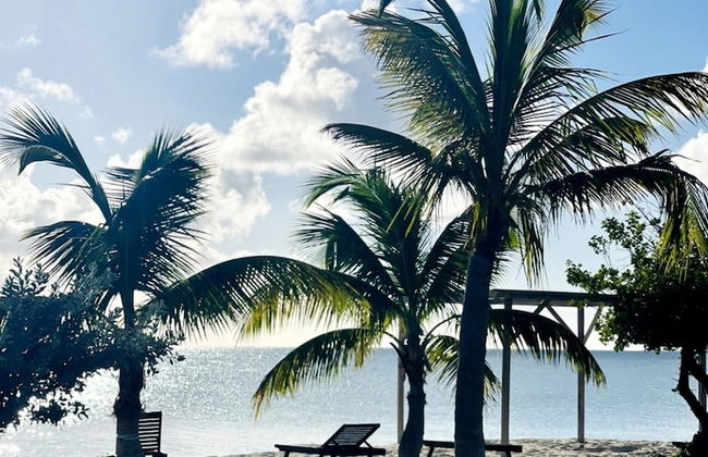 Barbuda Cottages - Foto 26