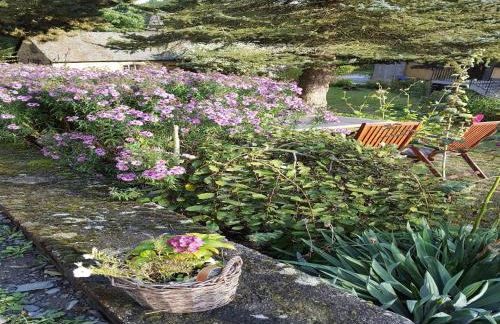 Gemutliche Ferienwohnung in Kaifenheim - Foto 50