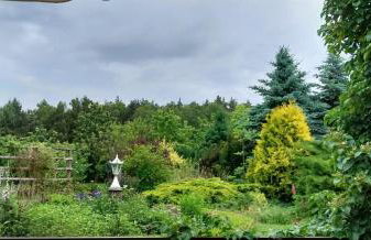 Biały Dzik Uszyszek - Foto 18