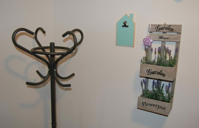 Apartments Rikli - Foto 67