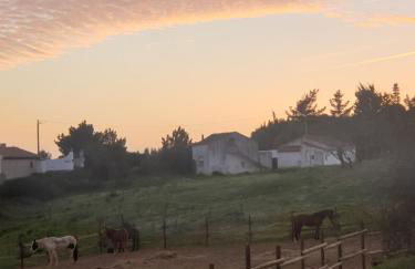 Sondela Self Catering - Foto 32