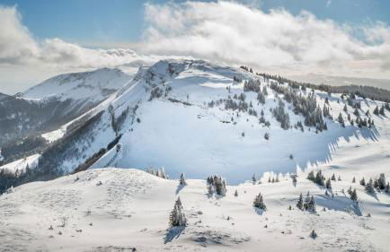 L'Orgelétaine : Grande Maison au milieu des Lacs du Jura - Foto 56