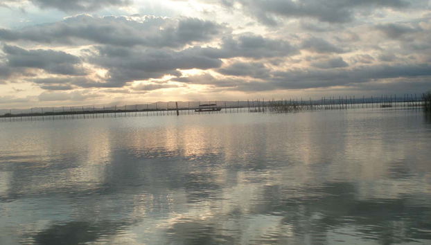 O ambiente natural de Albufera
