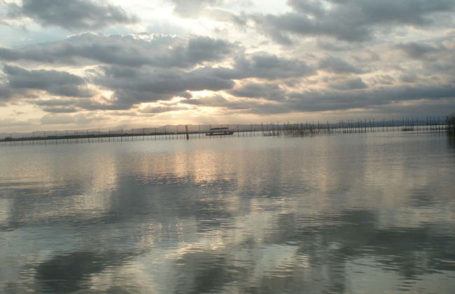 Albufera Natural Park Boat Ride - Photo 1
