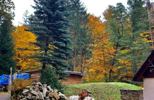 Holiday Home Jägerhaus by Interhome - Foto 31