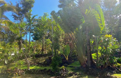 Seaside House and Aloha Bungalow - Foto 20