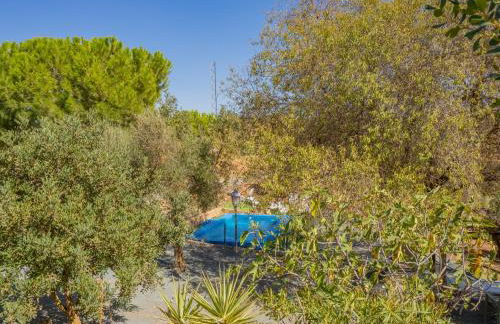 Cubo's Cortijo El Perezon - Foto 78