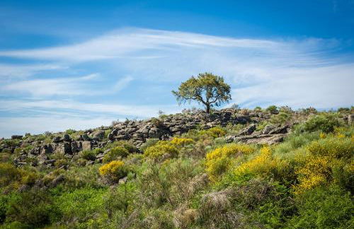 ALENTEJO Mountain Vacation House - Foto 43