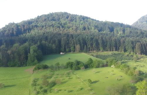 Haus Wolter - Foto 16