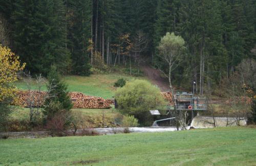 Ferienwohnungen Steinhäusle - Photo 25