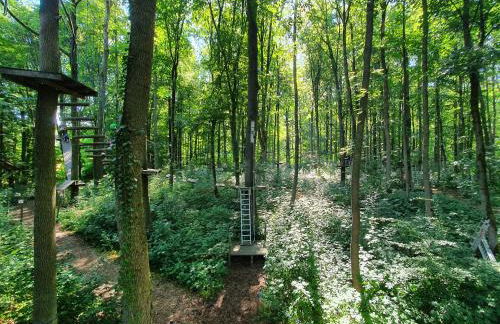 Ferienhäuser Oberdorla - Foto 70