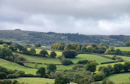 Swan Landing - Photo 25