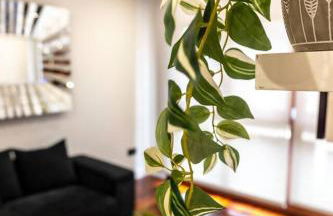 La Deva - Apartamento con garaje gratuito - Foto 3