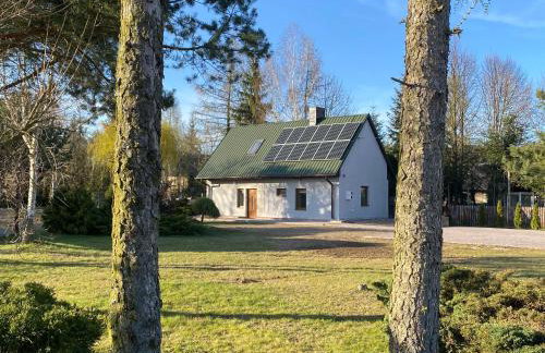 Agroturystka pod sosnami - Foto 1