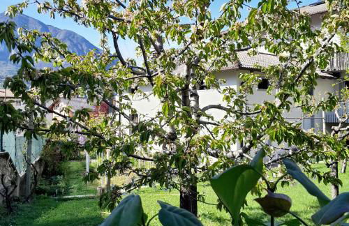 Appartment Lodged Mamma Maria - Foto 40