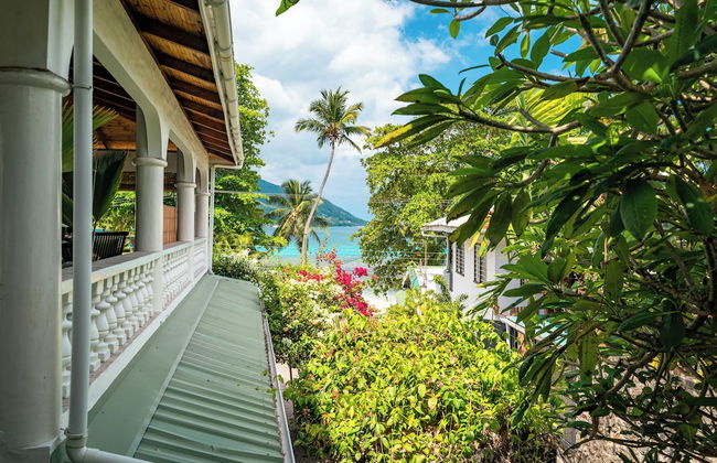 Beau Bamboo - Foto 63