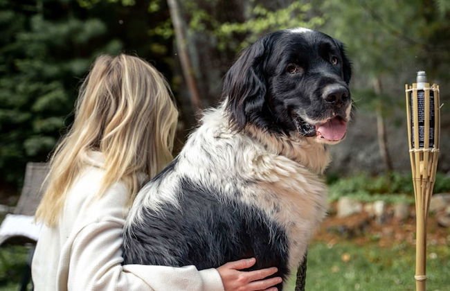 Le Rocher Spa Lac Par Paddleboard - Foto 79