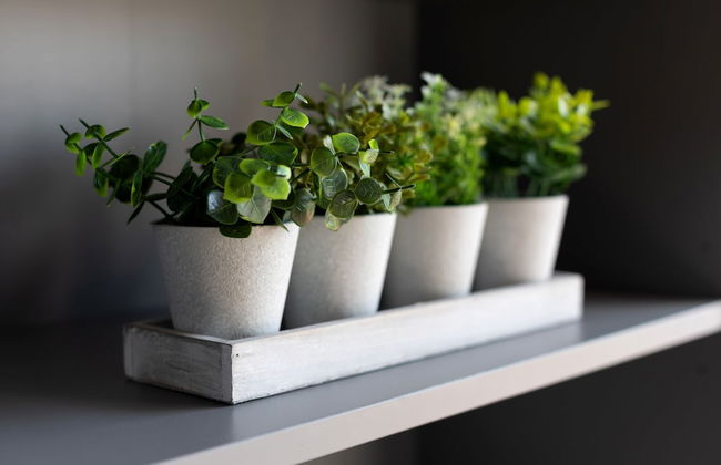 Cozy Cove Chapel - Foto 28