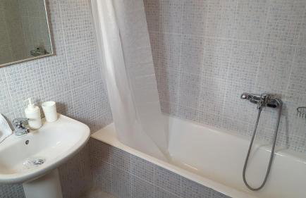 Patras Palm Tree - Foto 45