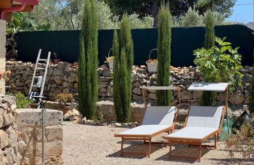 Trulli delle succulente - Foto 3