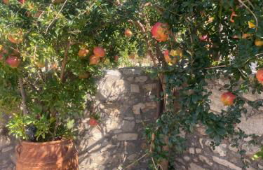 Manousos Guest House - Foto 26