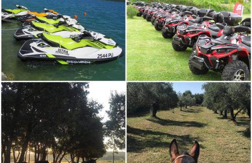 Villa Patrick-Luxury stone house in the center of Istria - Photo 58