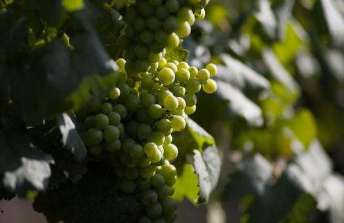 Agriturismo Bisenzio - Foto 44