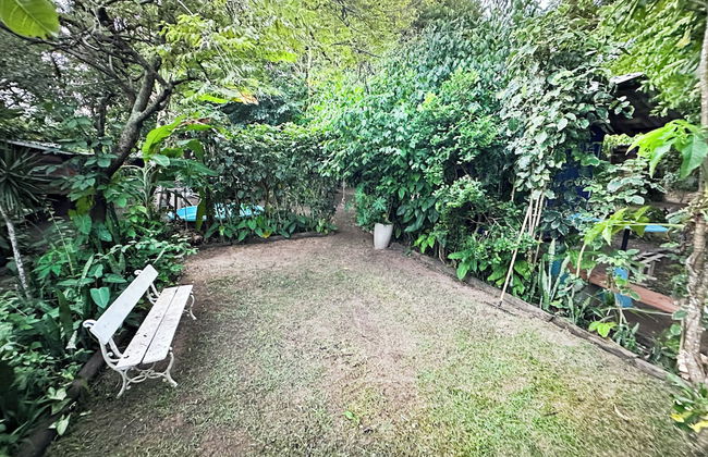 Quintal do Contêiner - Photo 17