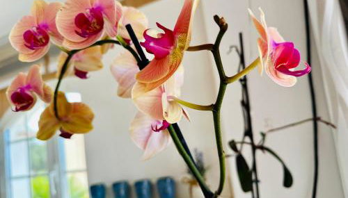 Villa Vista Mar La Pared - Foto 4