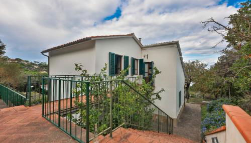 Cotoncello in una posizione panoramica - Goelba - Foto 3